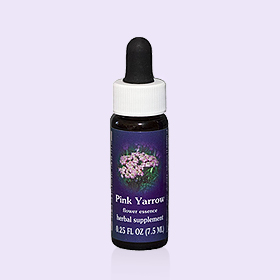 粉紅西洋蓍草單方花精