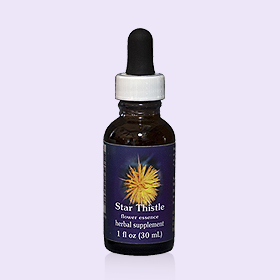 星薊花單方花精