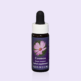 波斯菊單方花精