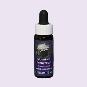 山薄荷單方花精