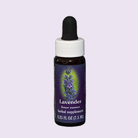 薰衣草單方花精