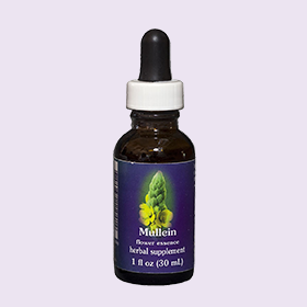 毛蕊花單方花精