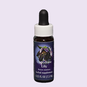 巧克力百合單方花精