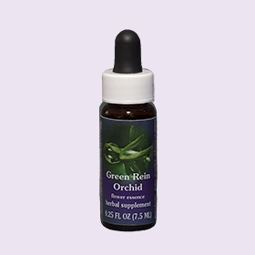 綠花粉蝶蘭單方花精