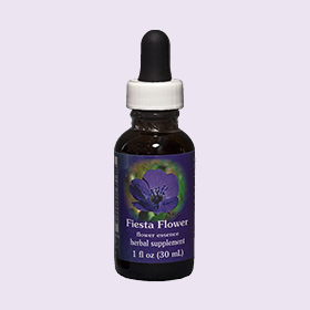 節慶花單方花精
