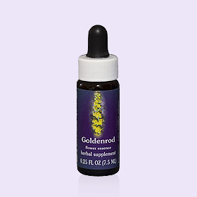 一枝黃花單方花精