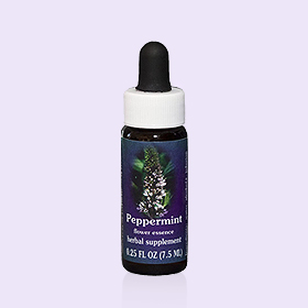 薄荷單方花精